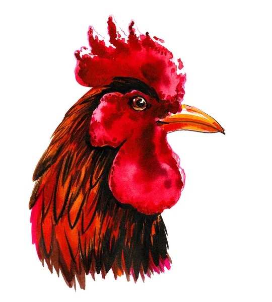 公鸡鸟的头 墨水和水彩画 — 图库照片
