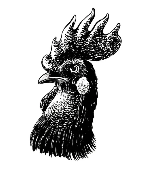 Głowa Koguta Czarno Biały Rysunek Atramentu — Zdjęcie stockowe