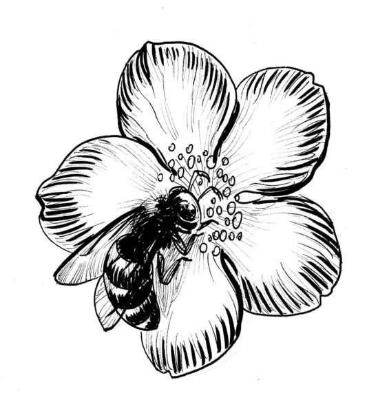 Méhecske Virágzó Virág Tinta Fekete Fehér Rajz — Stock Fotó