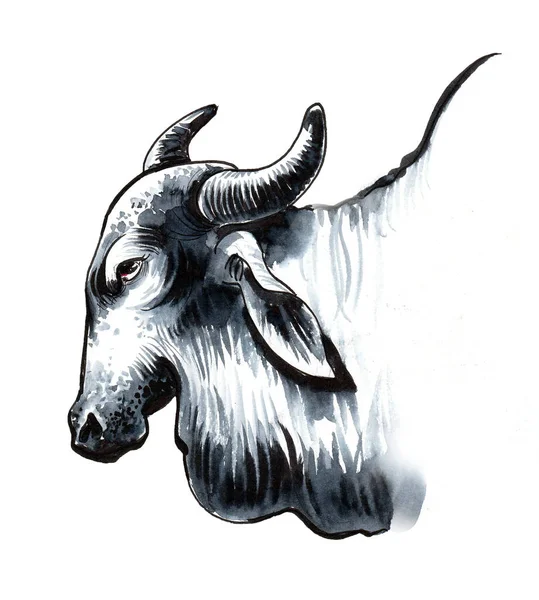 Cabeça Vaca Indiana Desenho Tinta Esteira — Fotografia de Stock