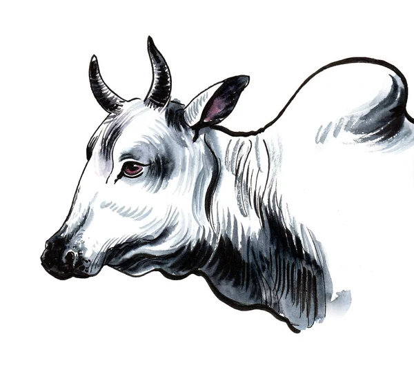Ινδικό Κεφάλι Αγελάδας Σχέδιο Μελανιού Και Ακουαρέλας — Φωτογραφία Αρχείου