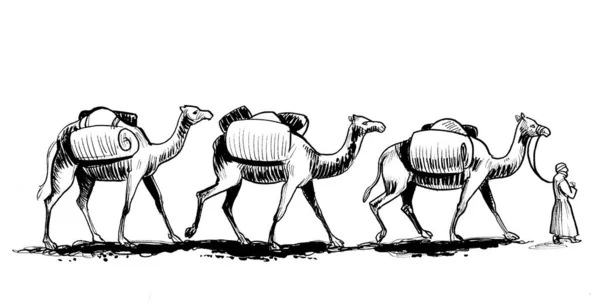 Caravana Camelos Deserto Tinta Desenho Preto Branco — Fotografia de Stock
