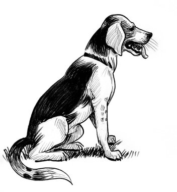 Oturan köpek. mürekkep siyah beyaz çizim