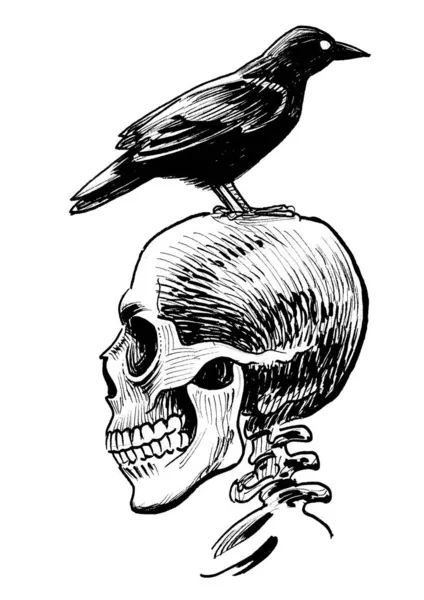 Human Skull Raven Bird Ink Black White Drawing — Stock Photo, Image