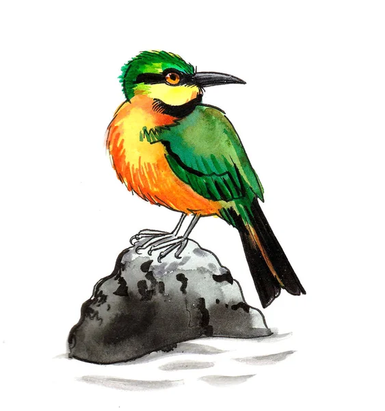 Barevný Pták Sedí Skále Kresba Inkoustem Akvarelem — Stock fotografie