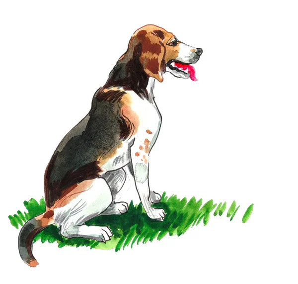 Сидящая Собака Чернила Акварель — стоковое фото