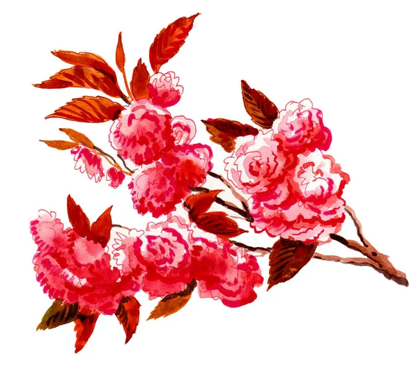 Cerejeira Florescente Desenho Tinta Aquarela — Fotografia de Stock