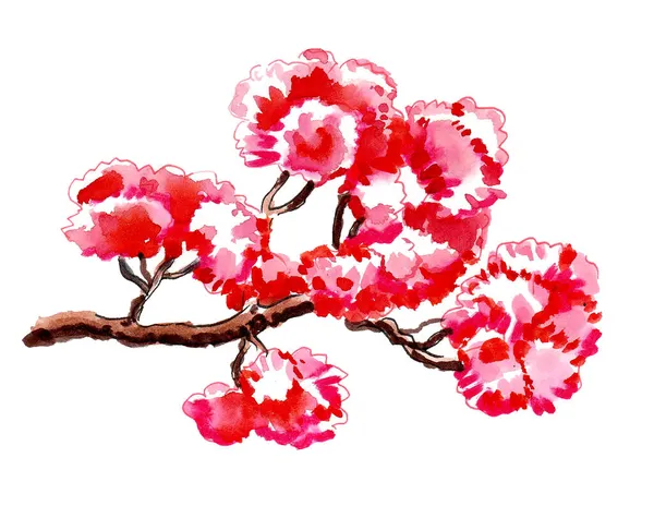 벚꽃피는 벚나무 잉크와 물감그리기 — 스톡 사진