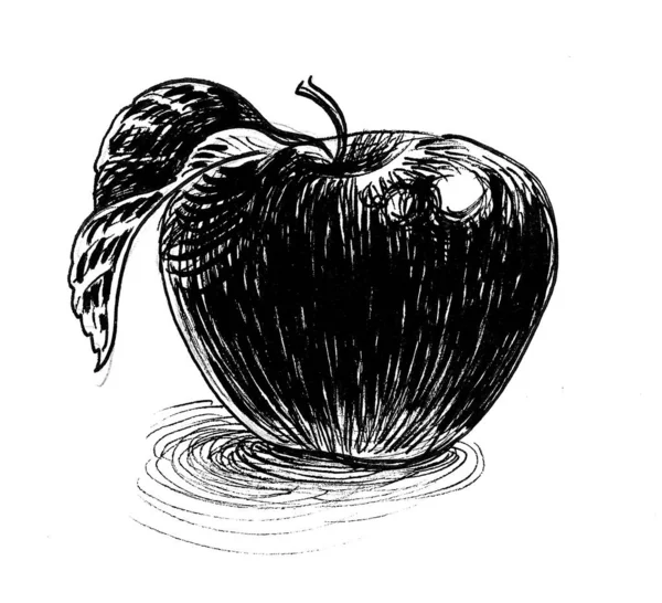 Applen Hedelmiä Lehtineen Muste Mustavalkoinen Piirustus — kuvapankkivalokuva