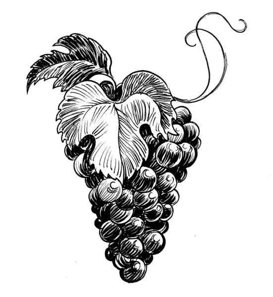 Куча Винограда Черно Белые Чернила — стоковое фото