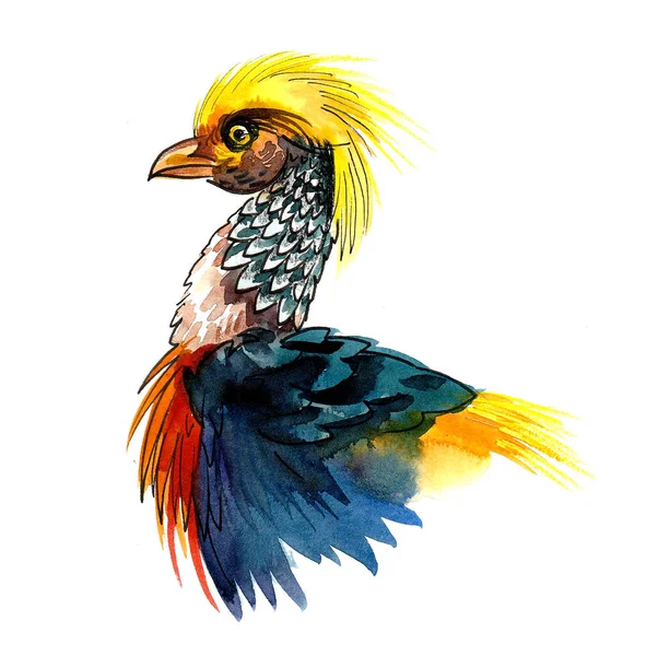 Kolorowa Głowa Ptaka Atrament Kolorowy Rysunek — Zdjęcie stockowe