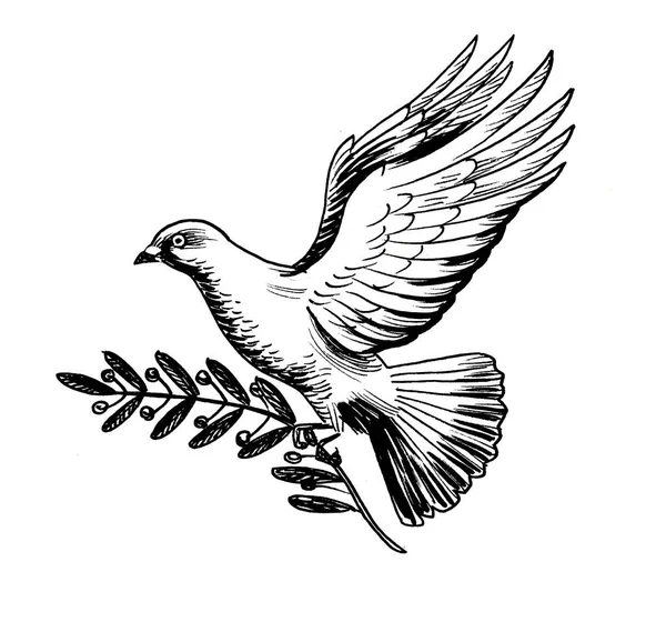 Летящий Голубь Оливковой Ветвью Чернила Черно Белые — стоковое фото