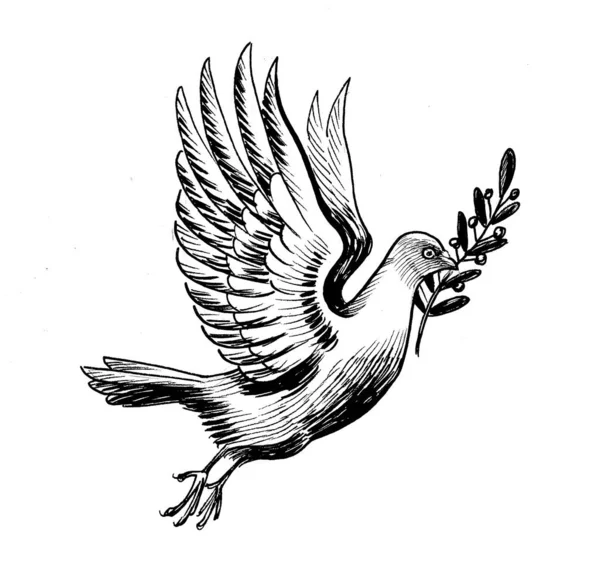 用橄榄枝飞翔的鸽子 墨水黑白相间 — 图库照片