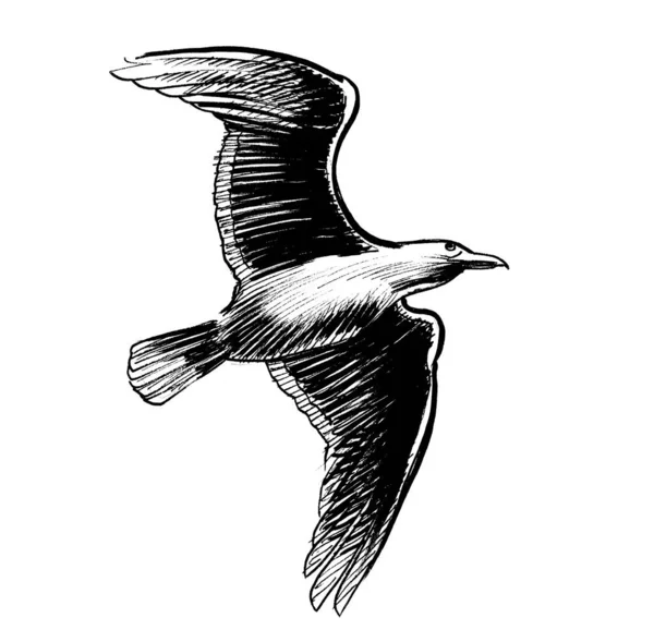 Gaviota Voladora Dibujo Blanco Negro Tinta —  Fotos de Stock