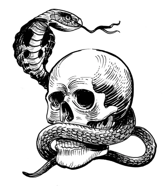 Kobra Yılanı Insan Kafatası Mürekkep Siyah Beyaz Çizim — Stok fotoğraf