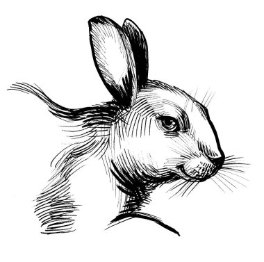 Şirin tavşan kafası. Mürekkep siyah beyaz çizim