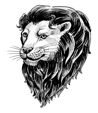 Aslan başı. Mürekkep siyah beyaz çizim