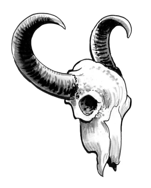 大きな雄牛の頭蓋骨 墨と白のドローイング — ストック写真