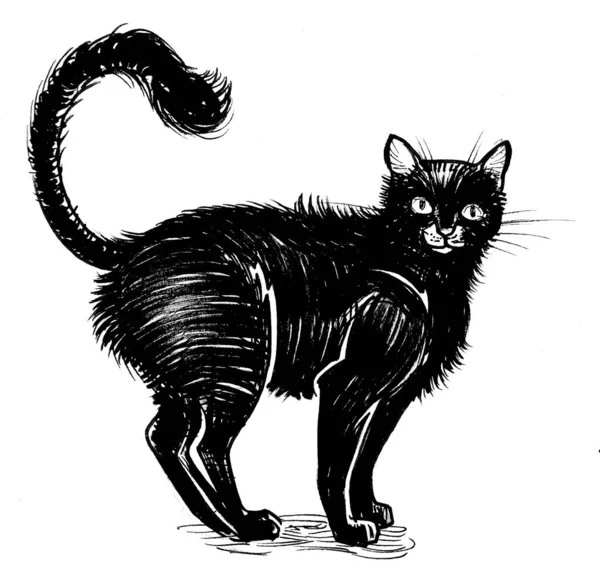 Korkak Kara Kedi Mürekkep Siyah Beyaz Çizim — Stok fotoğraf