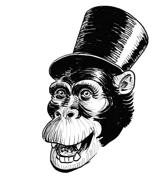 Cool Chimpanzé Riant Chapeau Cylindre Encre Dessin Noir Blanc — Photo