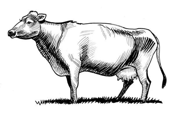 Vache Laitière Debout Encre Dessin Noir Blanc — Photo