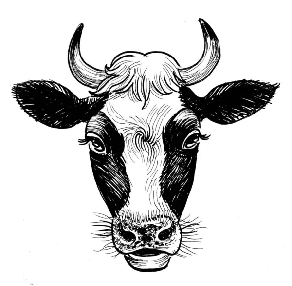 Κεφάλι Αγελάδας Μελάνι Ασπρόμαυρο Σχέδιο — Φωτογραφία Αρχείου