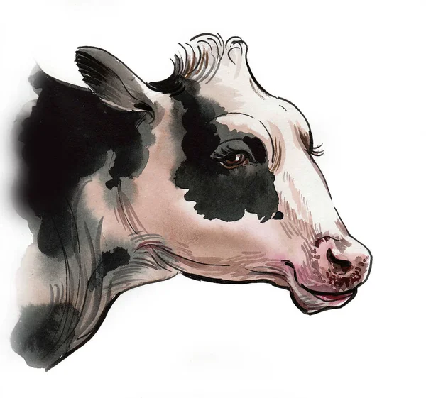 Tête Vache Laitière Dessin Encre Aquarelle — Photo