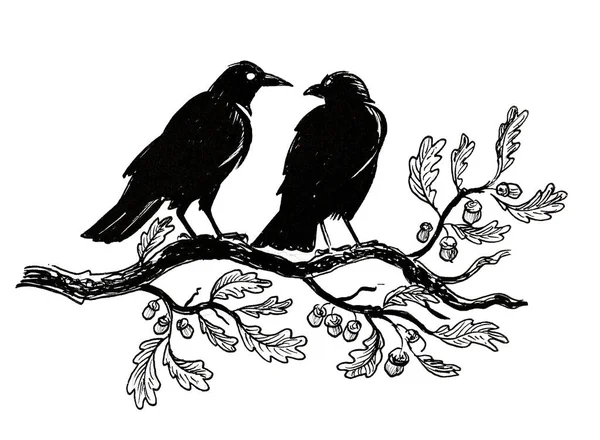 两只乌鸦坐在橡树枝上 墨水黑白画 — 图库照片