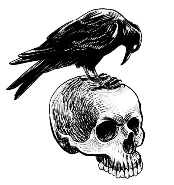 Krähenvogel Sitzt Auf Menschlichem Schädel Schwarz Weiße Tuschezeichnung — Stockfoto