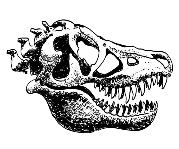 Tyrannosaurus Rex Schedel Inkt Zwart Wit Tekening — Stockfoto