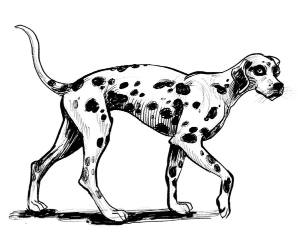 Walking Dog Ink Black White Drawing — Stock Photo, Image