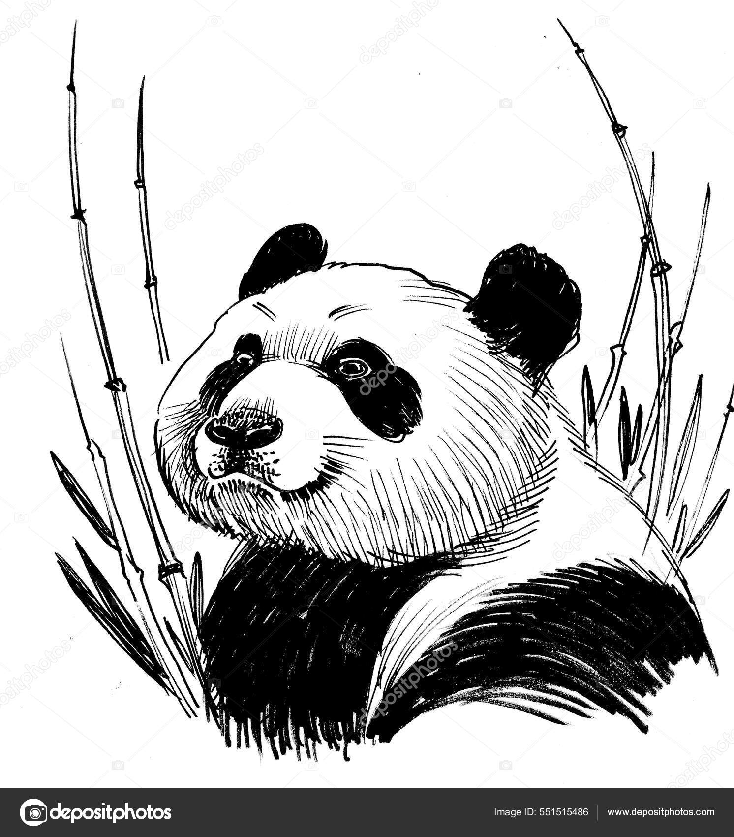 Urso Panda Ou Bambu Desenho Simples De Pincel Preto E Branco