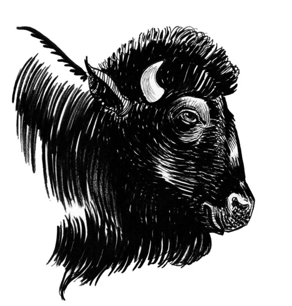 Cabeza Toro Bisonte Dibujo Blanco Negro Tinta —  Fotos de Stock