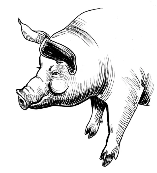 Standing Fat Pig Ink Black White Drawing — Stock Photo, Image