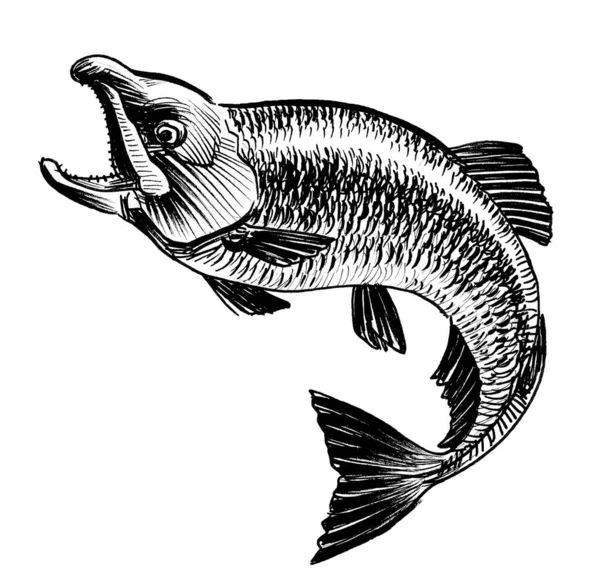 Dzika Ryba Łososiowa Czarno Biały Rysunek Atramentu — Zdjęcie stockowe