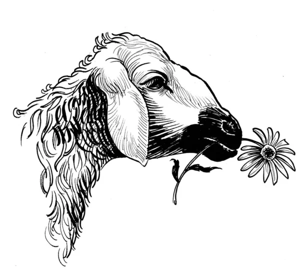 Des Moutons Qui Mangent Des Fleurs Encre Dessin Noir Blanc — Photo