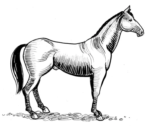 Stojící Kůň Černobílá Kresba Inkoustu — Stock fotografie