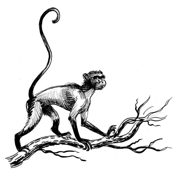 Monyet Pohon Gambar Hitam Dan Putih Tinta — Stok Foto