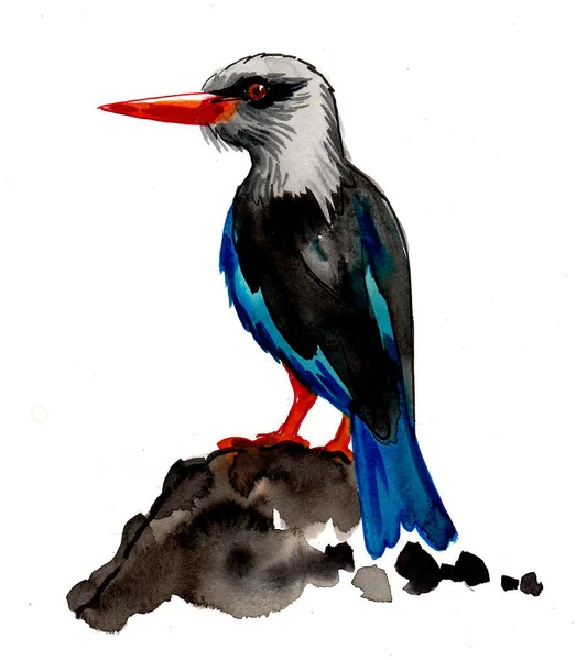 Ptak Skale Rysunek Atramentu Akwareli — Zdjęcie stockowe