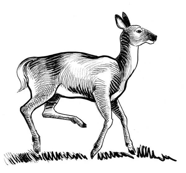 站立的鹿 墨水黑白画 — 图库照片