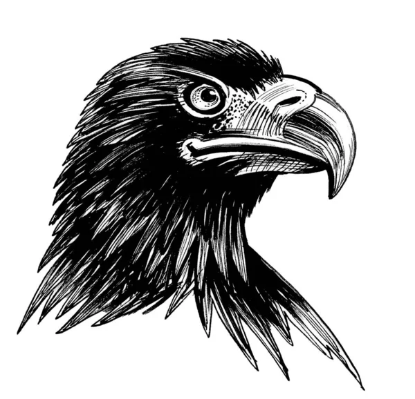 Cabeza Águila Dibujo Blanco Negro Tinta —  Fotos de Stock