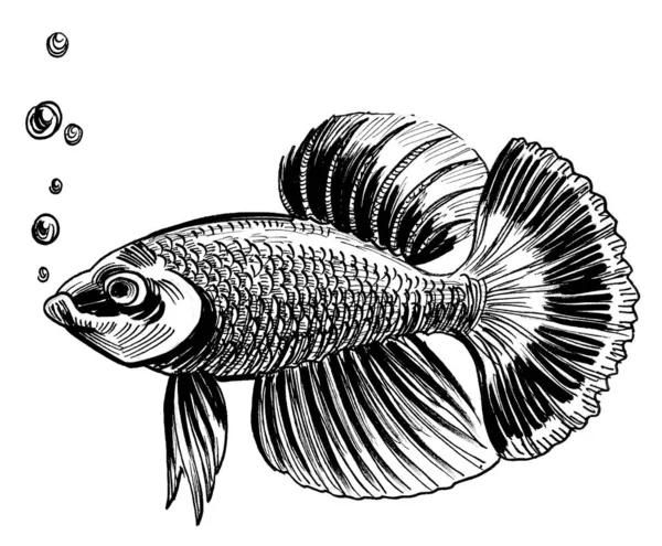 水族館の魚 墨と白のドローイング — ストック写真