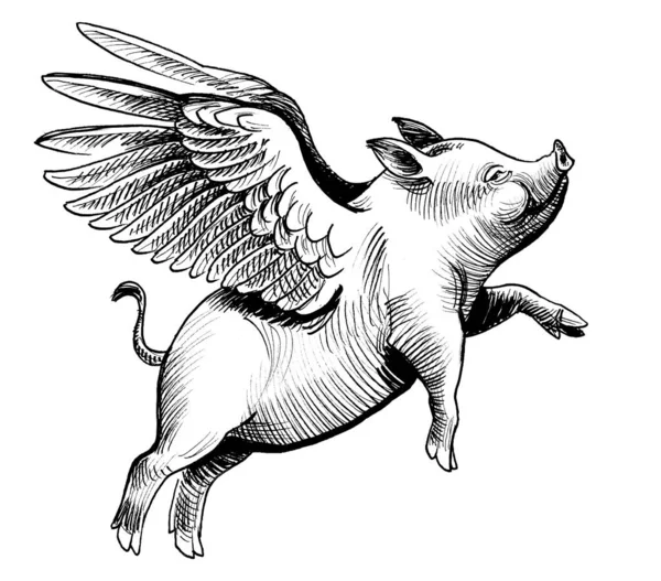 Flying Pig Ink Black White Drawing — Stock Photo, Image