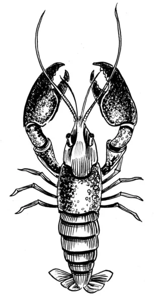 Lobster Animal Ink Black White Drawing —  Fotos de Stock