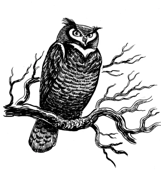 Owl Bird Sitting Tree Branch Ink Black White Drawing — Zdjęcie stockowe