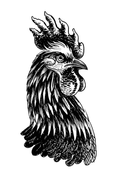 Tête Coq Encre Dessin Noir Blanc — Photo