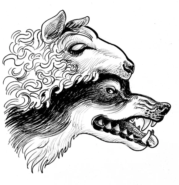 Wolf Sheep Skin Ink Black White Drawing — Zdjęcie stockowe