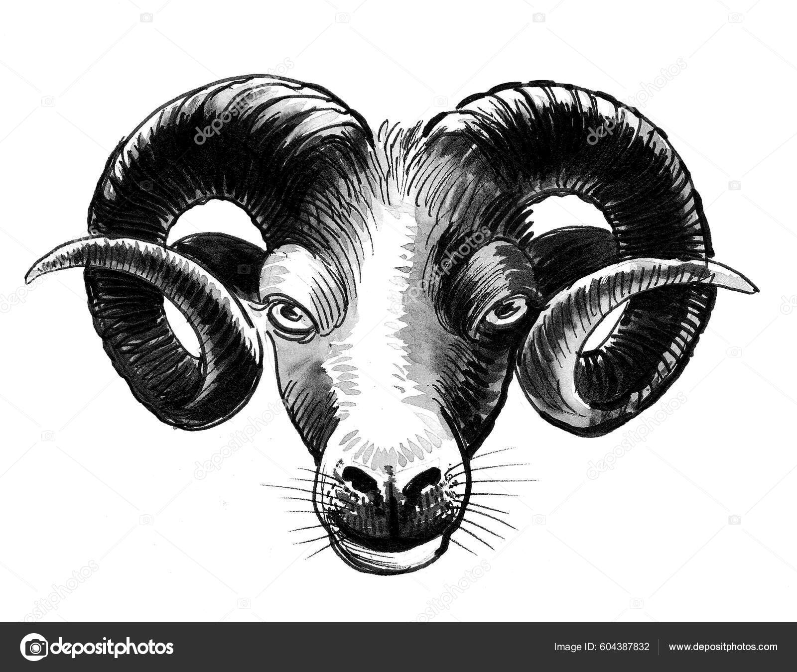 Ram horns sketch Stock Photos, Royalty Free Ram horns sketch Images | Depositphotos Ram horns sketch Stock Photos, Royalty Free Ram horns sketch Images | Depositphotos