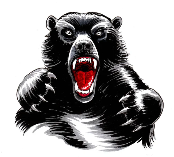 Angry Grizzly Bear Ink Watercolor Drawing — Stock Photo, Image