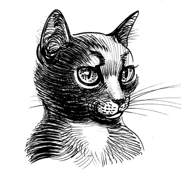 Cabeza Gato Dibujo Blanco Negro Tinta — Foto de Stock